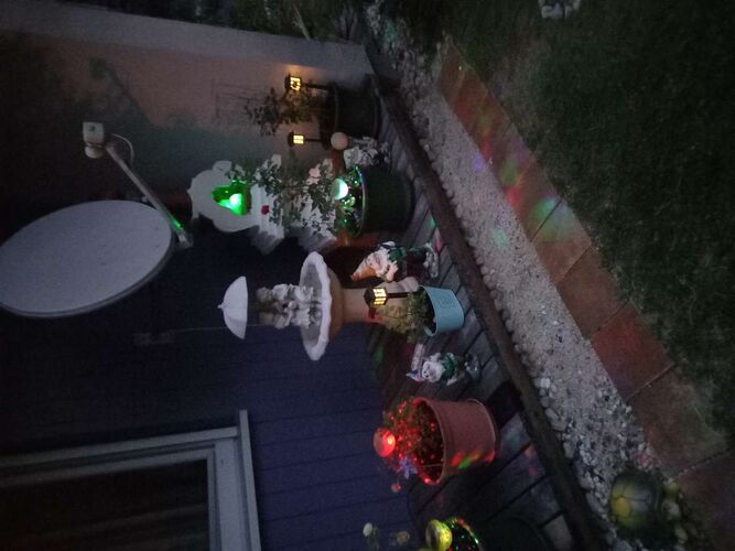 Schönster Garten 2022 - Gerhard aus Vöcklabruck