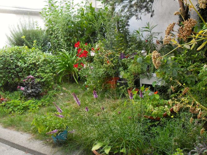 Schönster Garten 2022 - Gerlinde aus Linz