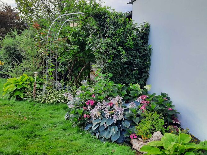 Schönster Garten 2022 - Ulrike  aus Wels