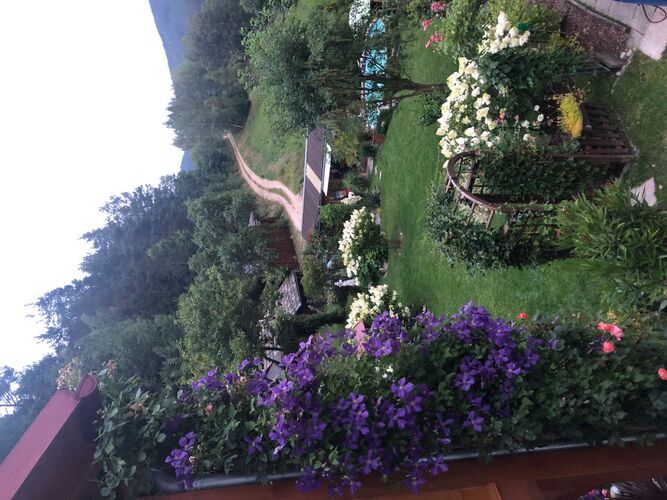 Schönster Garten 2022 - Edeltraud aus Freistadt