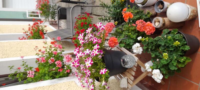 Schönster Garten 2022 - Ingrid aus Ried