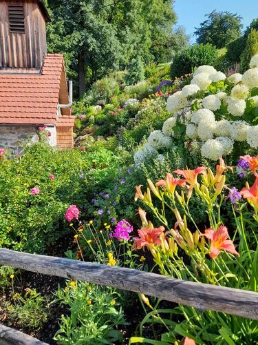 Schönster Garten 2022 - Elfriede aus Perg