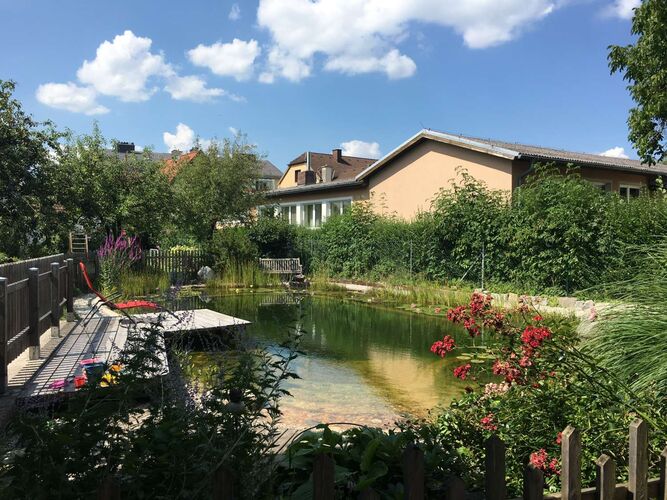 Schönster Garten 2022 - Monika aus Amstetten