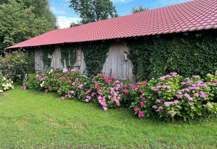 Schönster Garten 2022 - Petra aus Grieskirchen