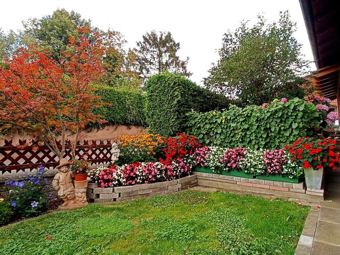 Schönster Garten 2022 - Heinz aus Freistadt