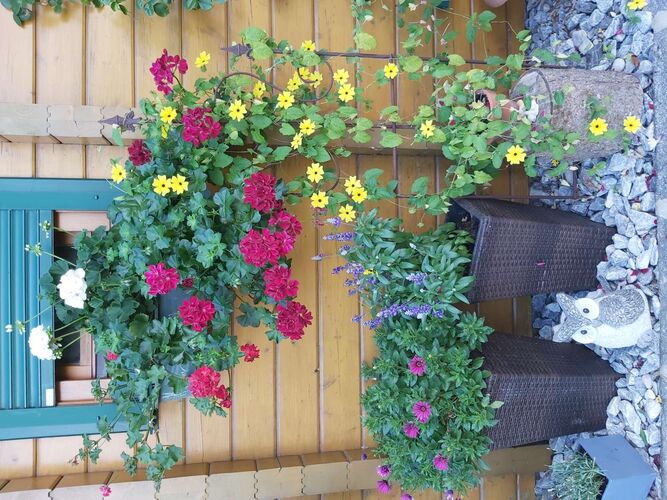 Schönster Garten 2022 - Hilde aus Wels