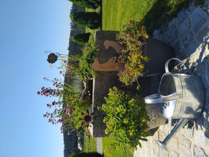 Schönster Garten 2022 - Susanne aus Schärding