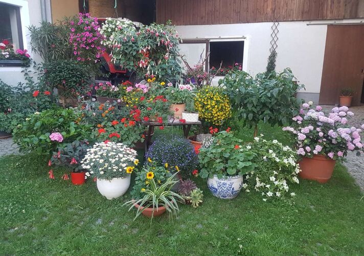 Schönster Garten 2022 - Angela aus Vöcklabruck