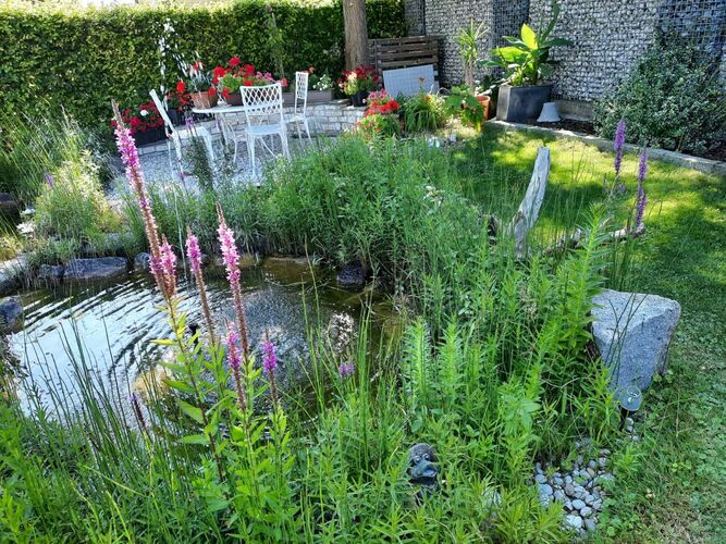 Schönster Garten 2022 - Eva aus Wels