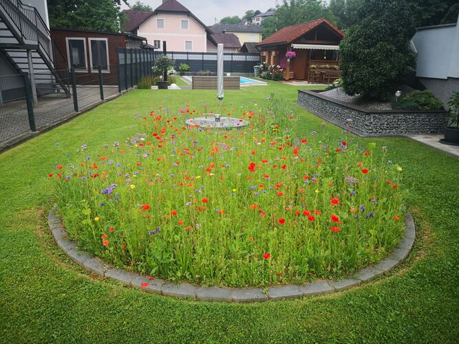 Schönster Garten 2022 - Michaela aus Perg