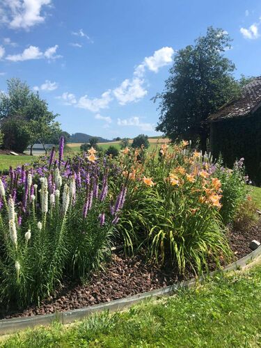 Schönster Garten 2022 - Traudi aus Ried