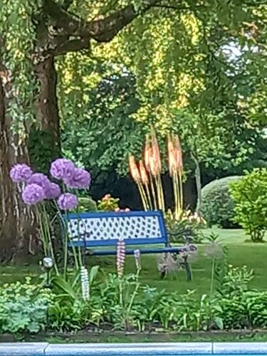 Schönster Garten 2022 - Gerda aus Eferding