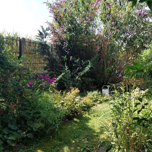 Schönster Garten 2022 - Martina aus Grieskirchen