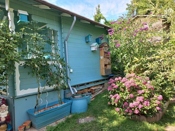 Schönster Garten 2022 - Heinrich aus Linz