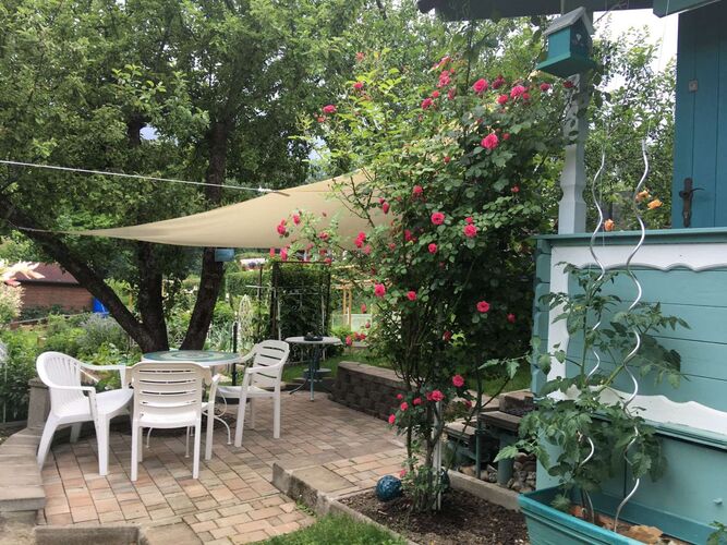 Schönster Garten 2022 - Annelies  aus Linz