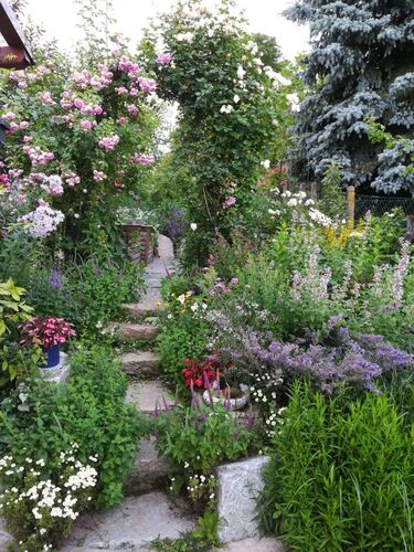 Schönster Garten 2022 - Christine aus Perg