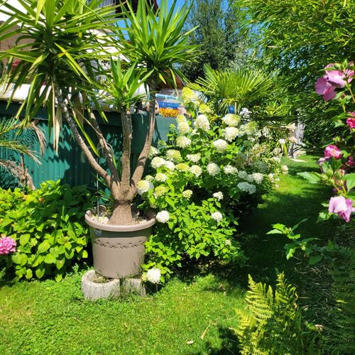 Schönster Garten 2022 - Eva aus Kirchdorf