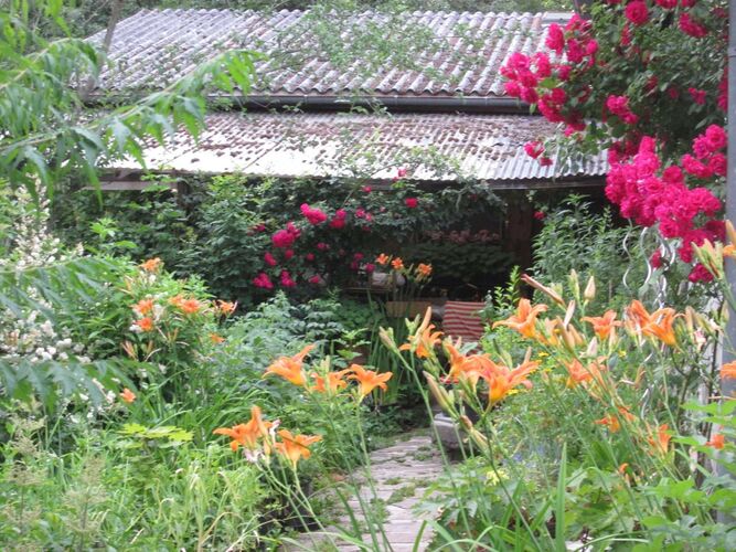 Schönster Garten 2022 - Josefine aus Amstetten