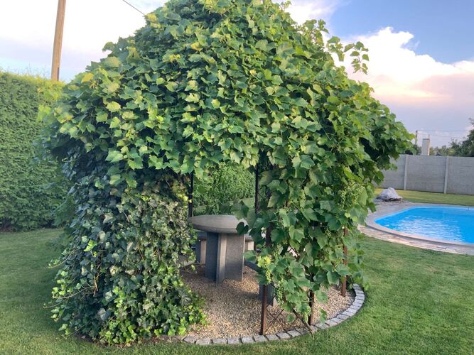 Schönster Garten 2022 - Anita aus Linz-Land