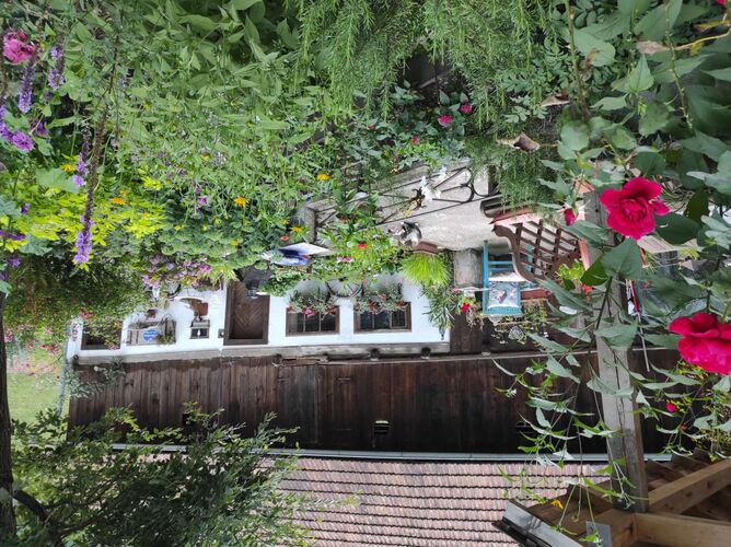 Schönster Garten 2022 - Ursula aus Steyr