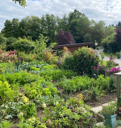 Schönster Garten 2022 - Daniela aus Rohrbach