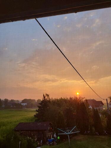 Schönster Garten 2022 - Alfred  aus Perg