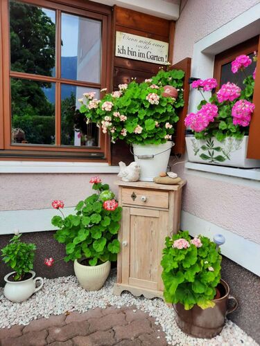 Schönster Garten 2022 - Günter aus Gmunden