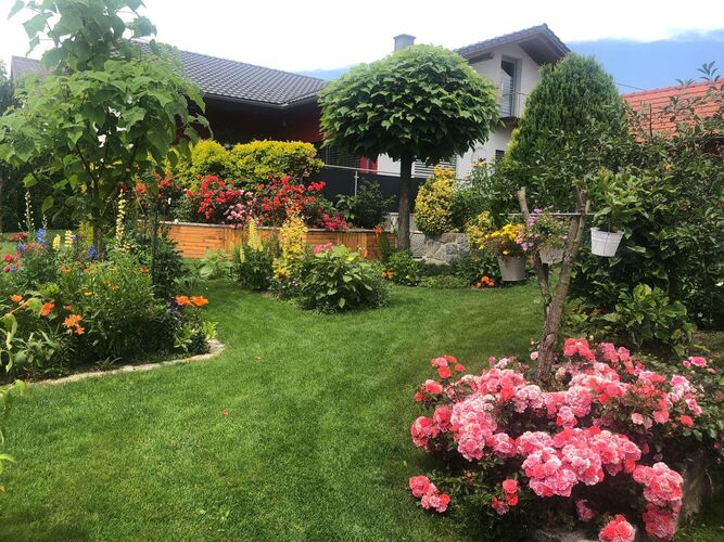 Schönster Garten 2024 - Augustine aus Rohrbach