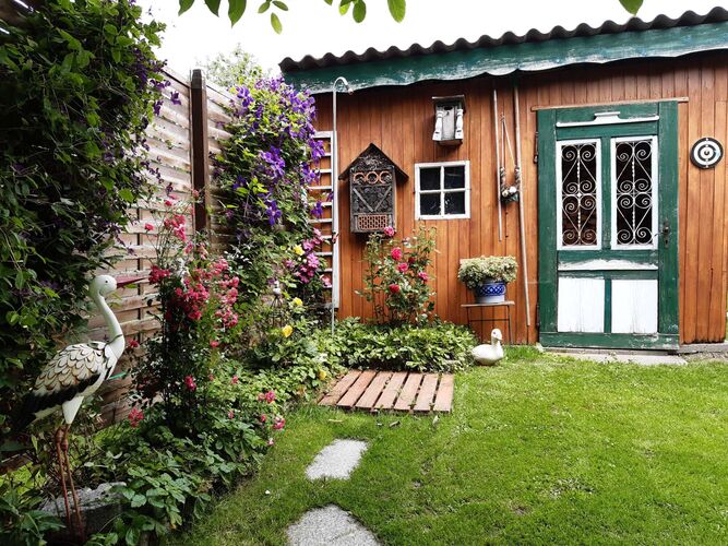 Schönster Garten 2024 - Gertrude aus Ried