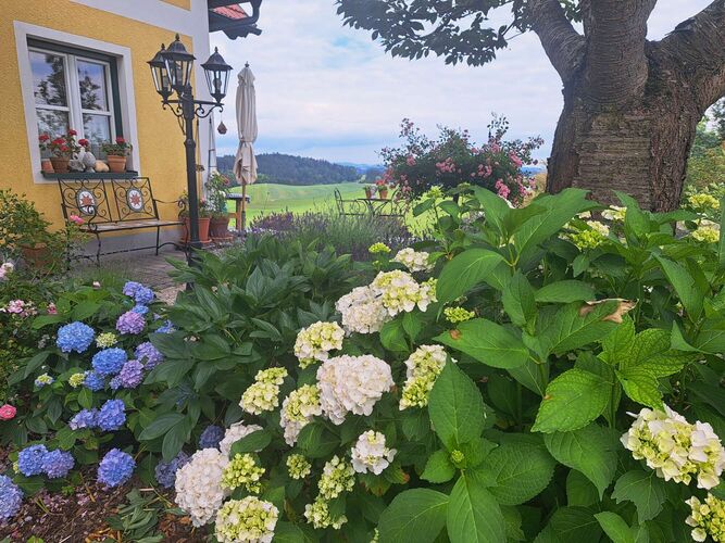 Schönster Garten 2024 - Margaretha aus Rohrbach