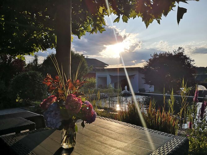 Schönster Garten 2024 - Patrizia aus Vöcklabruck