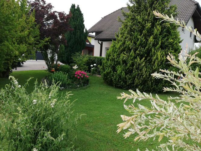 Schönster Garten 2024 - Cäcilia aus Amstetten