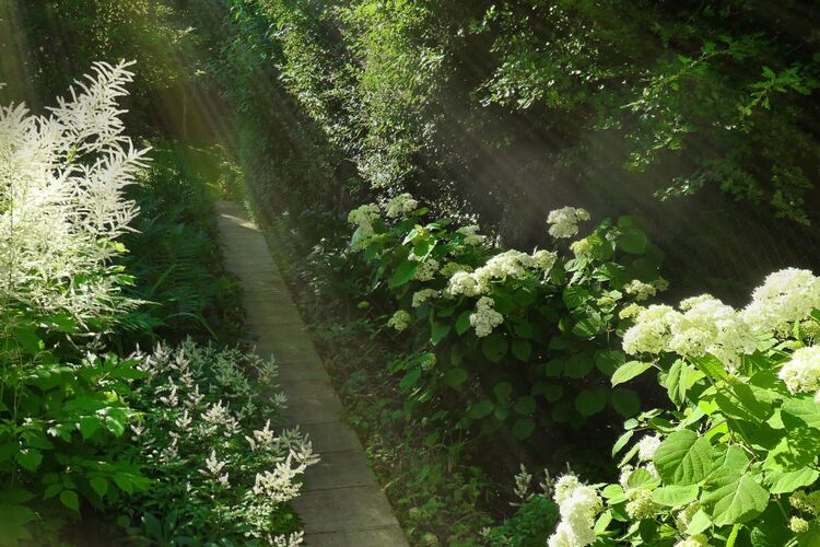 Schönster Garten 2024 - Gerald aus Steyr