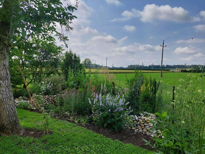 Schönster Garten 2024 - Ulrike aus Schärding