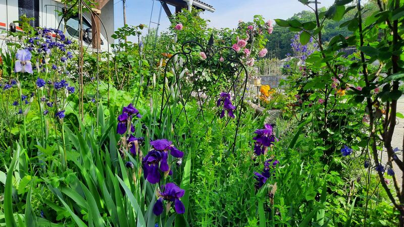 Schönster Garten 2024 - Monika aus Linz