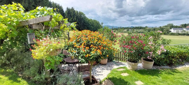 Schönster Garten 2024 - Roswitha aus Vöcklabruck