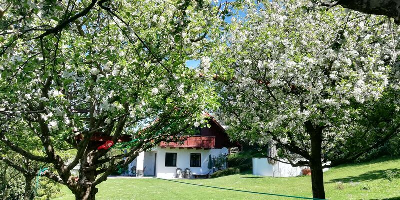 Schönster Garten 2024 - johann aus Perg