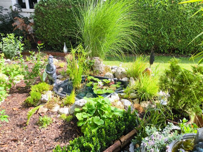 Schönster Garten 2024 - Starzengruber aus Braunau