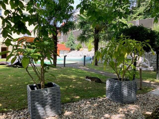 Schönster Garten 2024 - Renate aus Urfahr-Umgebung