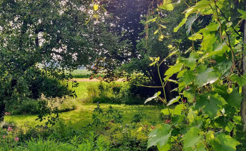 Schönster Garten 2024 - Brigitta aus Braunau