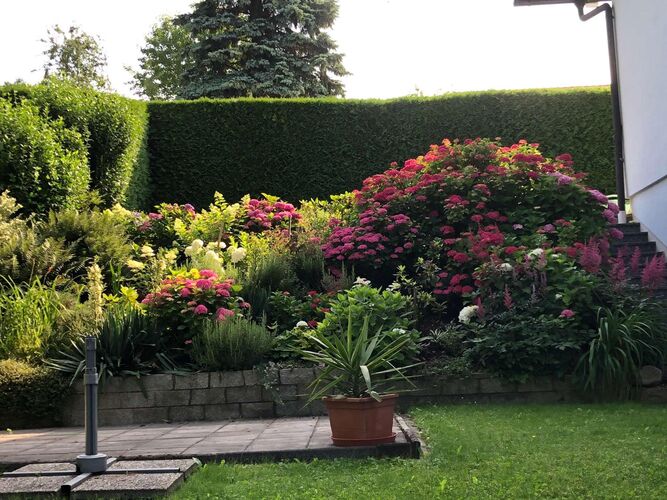 Schönster Garten 2024 - Erika aus Grieskirchen