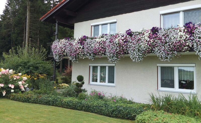 Schönster Garten 2024 - Anita aus Schärding