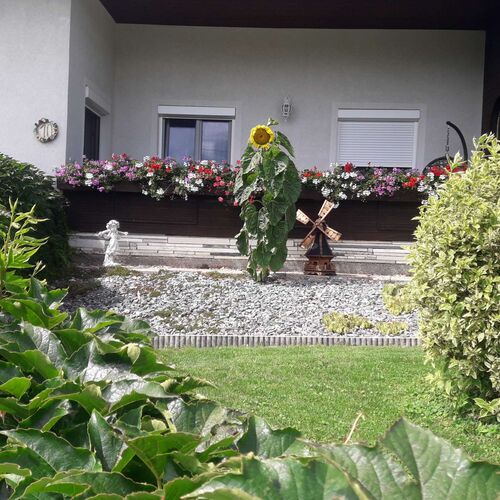 Schönster Garten 2024 - Hermann aus Gmunden