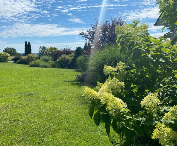 Schönster Garten 2024 - Andrea aus Vöcklabruck