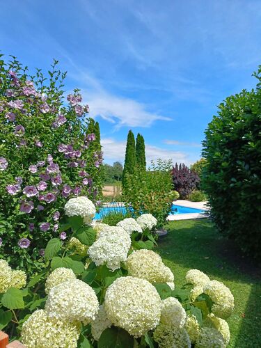 Schönster Garten 2024 - Gerlinde aus Linz-Land