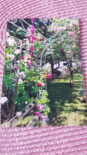 Schönster Garten 2024 - Waltraud aus Linz-Land