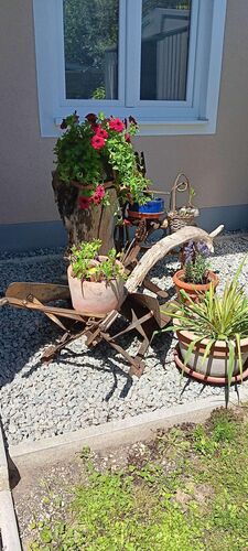 Schönster Garten 2024 - Michaela aus Braunau