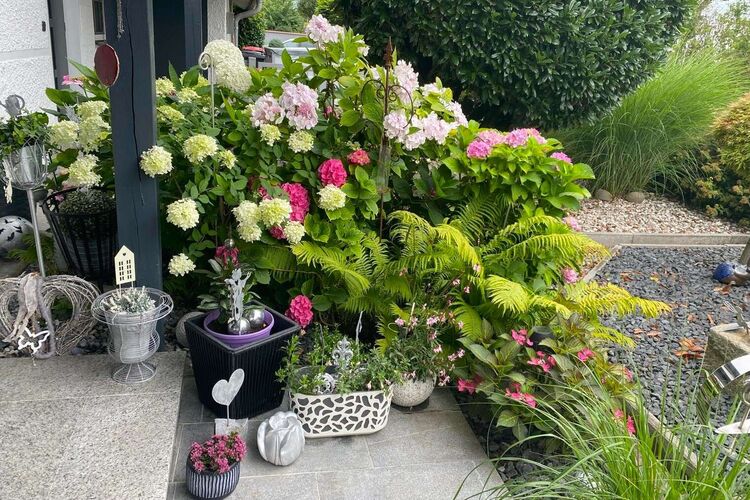 Schönster Garten 2024 - Hanspeter aus Enns