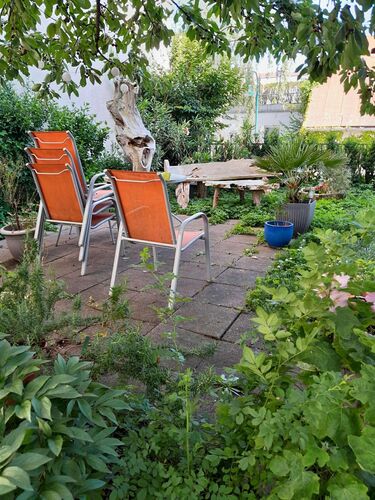 Schönster Garten 2024 - Dieter aus Linz