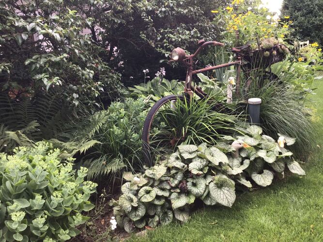 Schönster Garten 2024 - Monika aus Amstetten